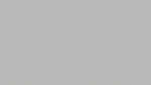BEBUG 8678.png